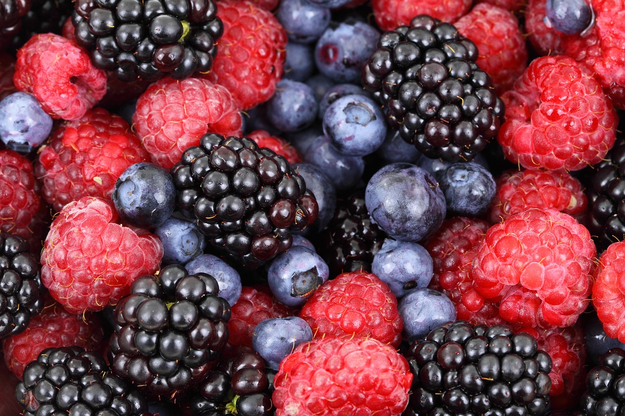 Sugar-Free