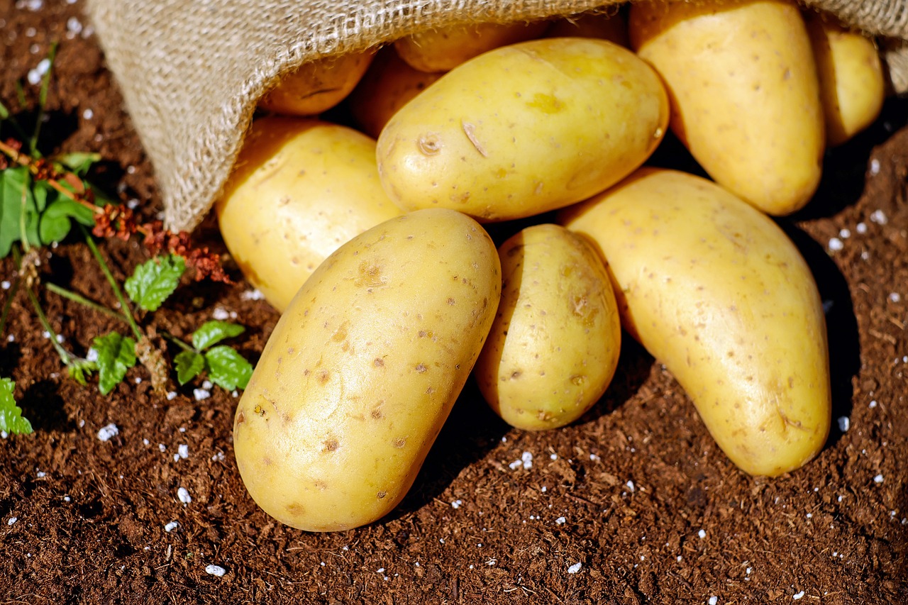 FODMAP-Friendly