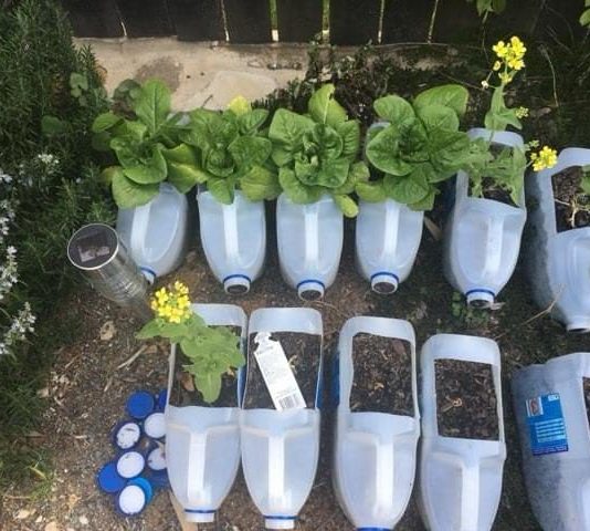 CJW photo DV7 starting gardening before covid