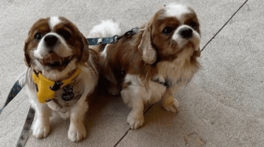 photo_2024-09-05 12.39.14 tk 1