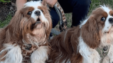 photo_2024-09-05 12.39.14 tk4